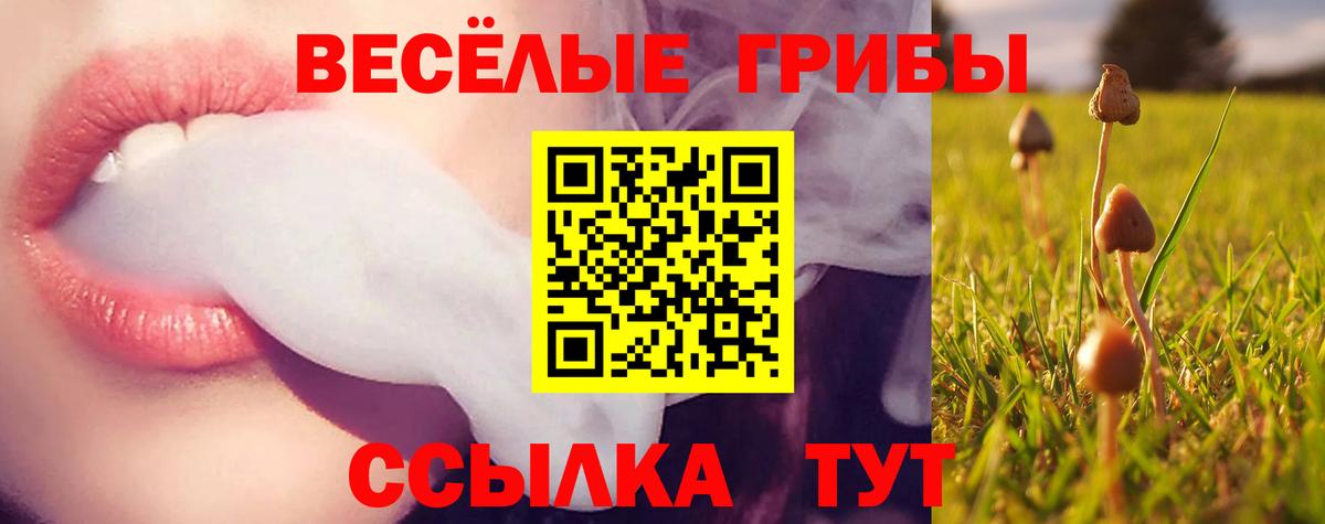 Псилоцибиновые грибы MAGIC MUSHROOMS  Псилоцибиновые грибы Cubensis  где купить   Узловая  Вход с VPN 